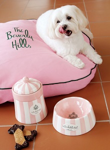 The Beverly Hills Hotel & Bungalows