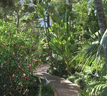 The Beverly Hills Hotel & Bungalows