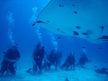 Olhuveli Beach & Spa Resort
