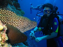 Olhuveli Beach & Spa Resort