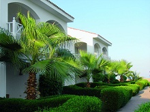 Sheraton Sharm Hotel, Resort, Villas & Spa(ex.Sheraton Sharm)