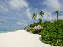 Coco Palm Dhuni Kolhu