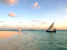 Coco Palm Dhuni Kolhu