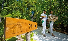 Coco Palm Dhuni Kolhu