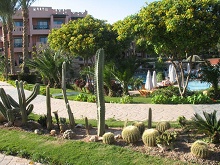 Rehana Sharm Resort