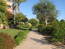 Rehana Sharm Resort