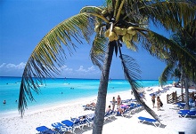 Occidental Allegro Playacar