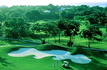 Occidental Allegro Playacar