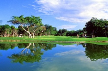 Occidental Allegro Playacar