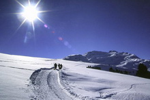 Arosa Kulm & Alpin Spa