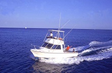 Occidental Allegro Cozumel