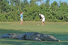 Presidente InterContinental Cozumel Resort & Spa