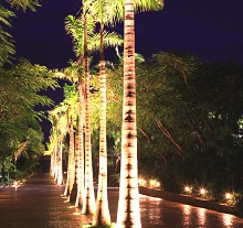 Presidente InterContinental Cozumel Resort & Spa