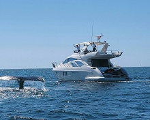 Four Seasons Resort Punta Mita