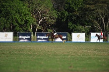 El Careyes Beach Resort