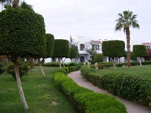 Lotus Bay Beach Resort(ex.Lotus Bay)