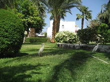 Lotus Bay Beach Resort(ex.Lotus Bay)