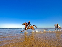 Albatros Garden Resort(ex.Beach Albatros Garden)