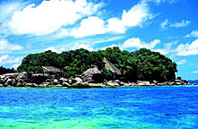 Chauve Souris Relais