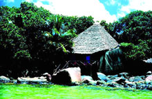 Chauve Souris Relais