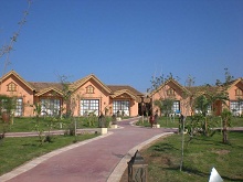 Jungle Aqua Park(ex.Albatros Jungle Aqua Park)