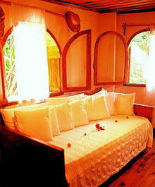 Chauve Souris Relais