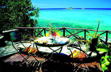 Chauve Souris Relais