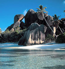 Chauve Souris Relais