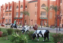 Aqua Vista Resort(ex.Albatros Aqua Vista Resort & Spa)