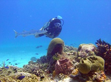 Mandarin Oriental Riviera Maya