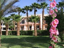 Beach Albatros Resort