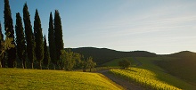 Castiglion del Bosco