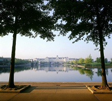 Disney's Newport Bay Club