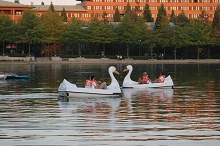 Disney's Sequoia Lodge