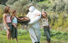 Grecotel Club Marine Palace & Suites