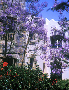 Hapimag Sea Garden Resort