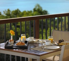 Raffles Praslin