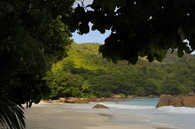Raffles Praslin