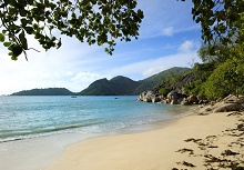Raffles Praslin