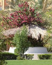 Jaz Makadina(ex.Sol Y Mar Club Makadi)