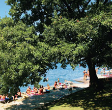 Laguna Albatros (Пореч)