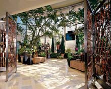 Celebrity Constellation