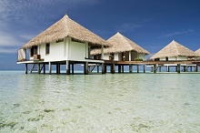 Gangehi Island Resort