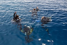 Gangehi Island Resort