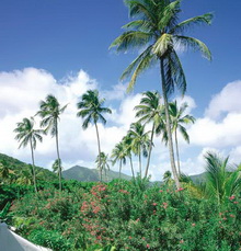 Carlisle Bay