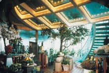 Celebrity Millеnium