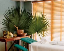 Celebrity Xpeditions