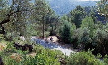 Iberostar Torviscas Playa