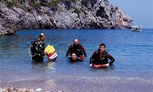 Iberostar Torviscas Playa