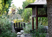 JA Jebel Ali Hotel Palm Tree Court & Spa(ex.Palm Tree Court & Spa)